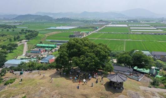 한국일보