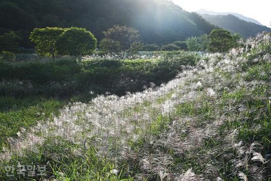 한국일보