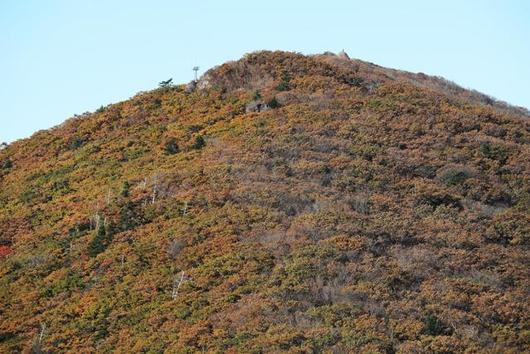 한국일보