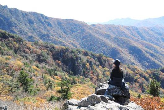 한국일보