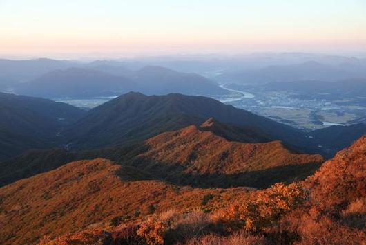 한국일보