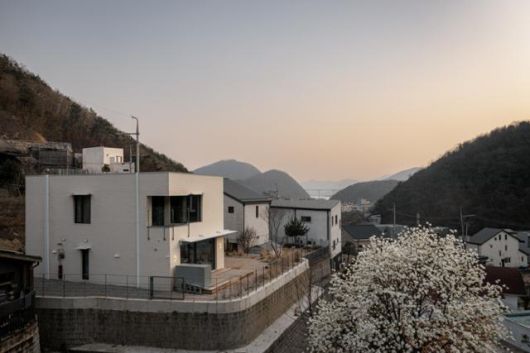 주택의 아이보리톤 외장재와 앞집의 목련꽃이 그림처럼 어우러진다. 이재우 건축사진작가 제공