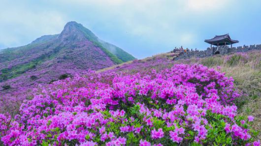 한국일보