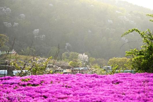 한국일보