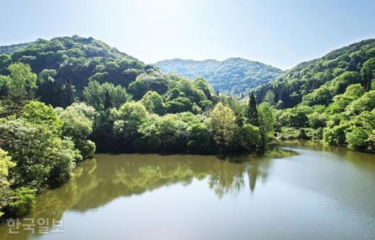 한국일보