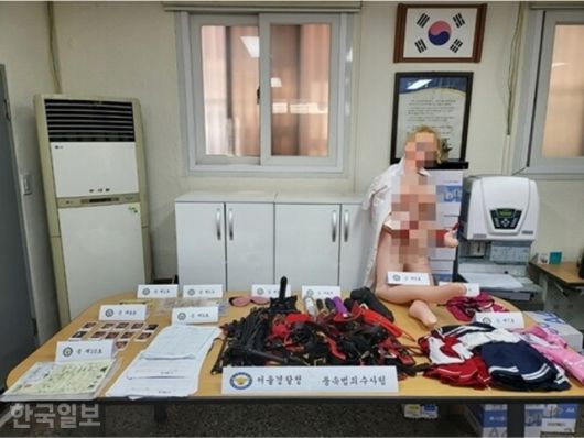 지난해 6월 적발된 강남구 '스와핑·집단성교' 유흥업소에서 압수된 코스튬과 성관계 도구 등이 놓여 있다. 서울경찰청 제공