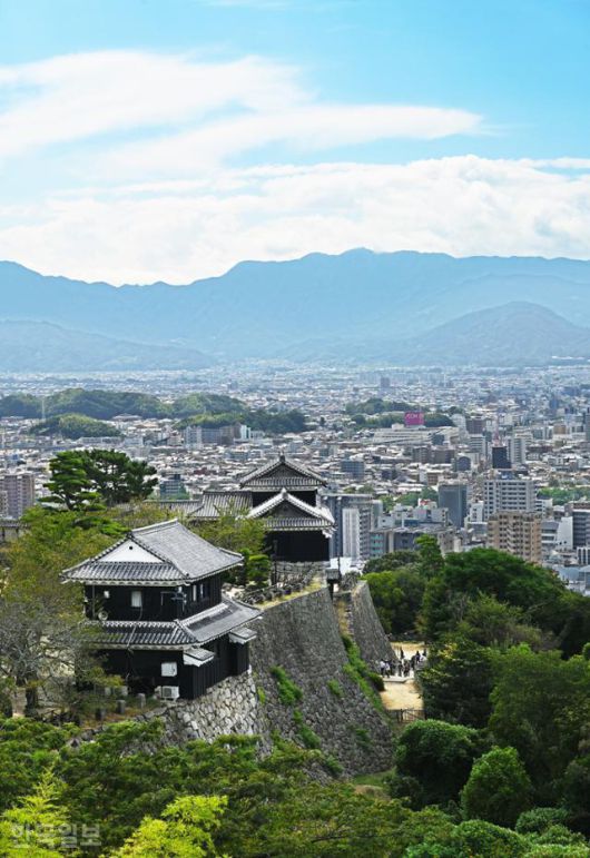 한국일보