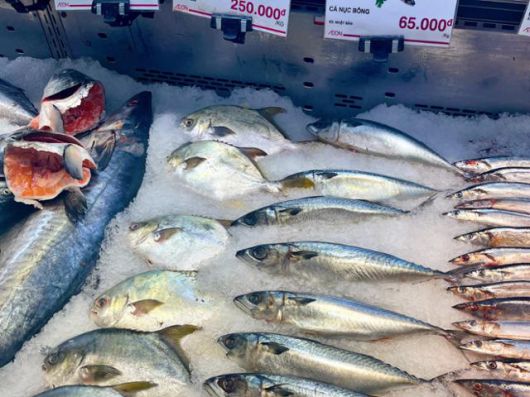 4일 베트남 하노이의 한 대형 마트에 일본산 수산물이 진열돼 있다. 하노이=허경주 특파원