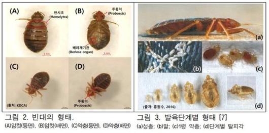 한국일보