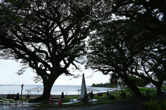 우마탁 마을 어귀의 거목 사이에 마젤란상륙기념비가 세워져 있다.