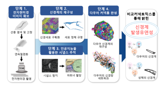 한국일보