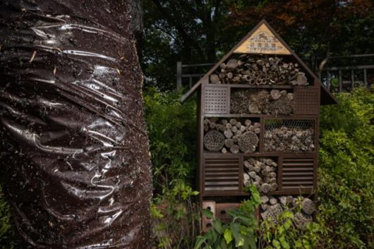 봉산 전망대 인근에 설치된 '곤충호텔' 모습. '무분별한 농약 사용에 시달리는 곤충들의 대피소입니다'라는 시설 설명문과는 대조적으로 이 호텔 바로 옆 나무 두 그루에는 벌레를 무작위로 포획하는 '끈끈이롤트랩'이 감겨 있다. 현장에서 이를 본 성민규 생명다양성재단 연구원은 사람들이 사는 아파트 입구에 지뢰 지대를 설치한 것과 같은 격이다라고 설명했다.