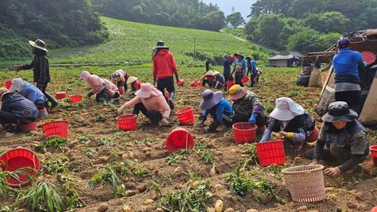 한국일보