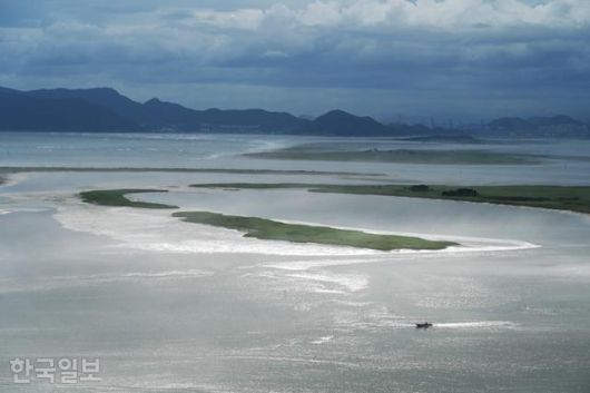 아미산전망대에서 보는 낙동강 하구 모래섬이 초록 갈대에 덮여 있다.