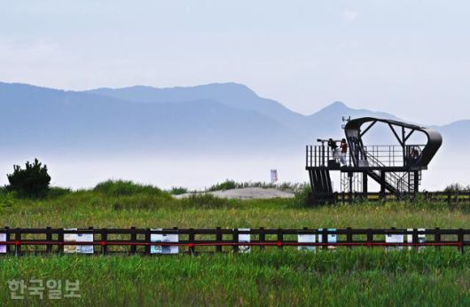 다대포해수욕장 바로 옆 습지에는 고우니생태길이 조성돼 있다.