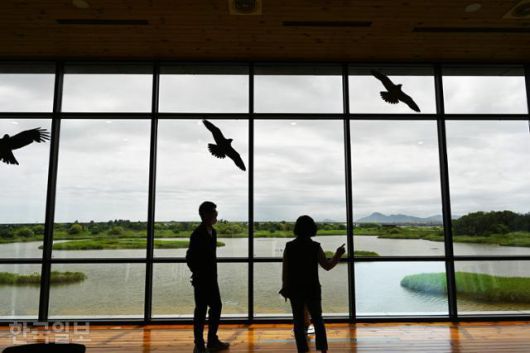 을숙도 낙동강하구에코센터 전망창. 바로 앞 습지에 철에 따라 다양한 새들이 날아든다.