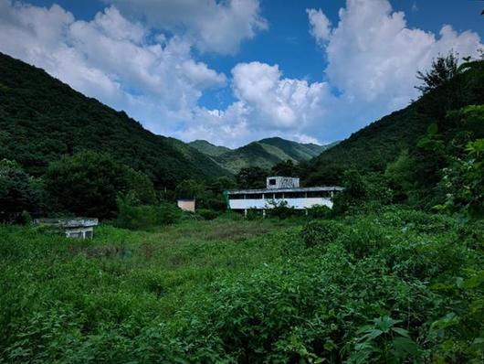 한국일보