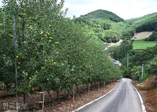 한국일보