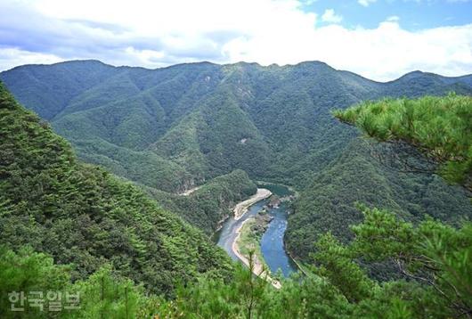 한국일보