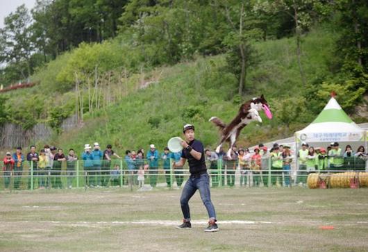 한국일보