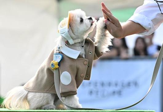 한국일보