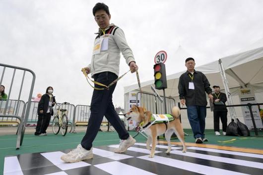 한국일보