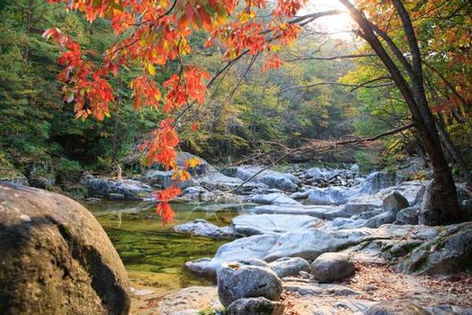 한국일보