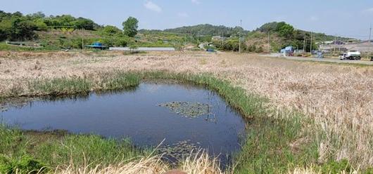 한국일보