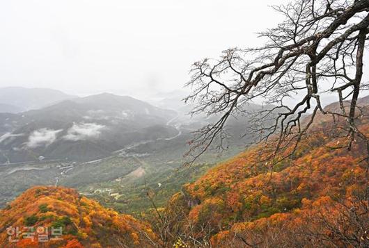 한국일보