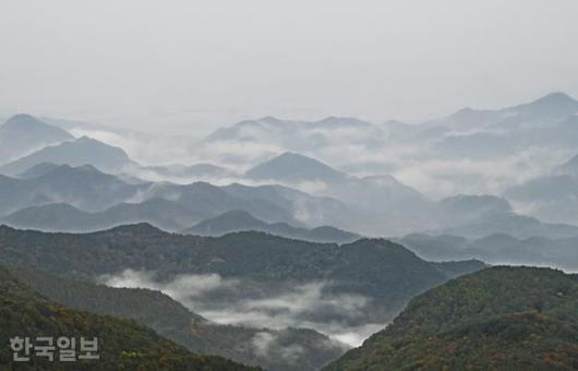 한국일보