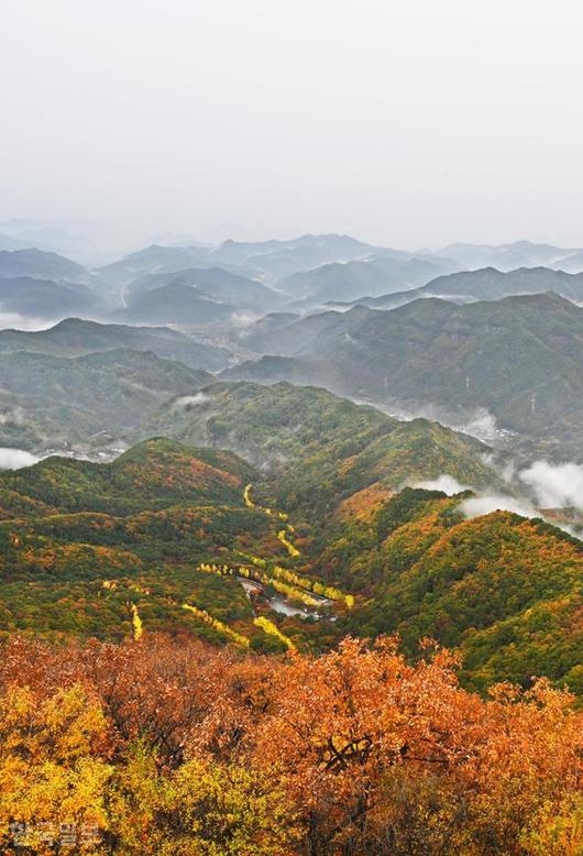 한국일보