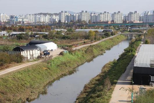 한국일보