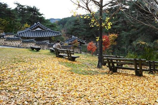 한국일보