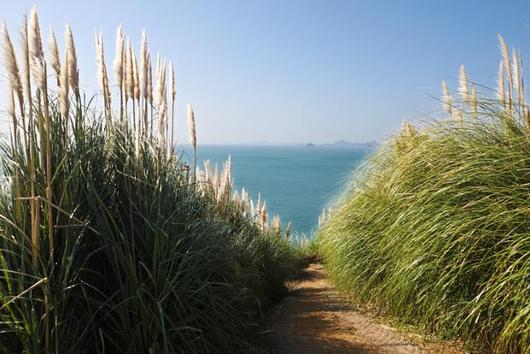 한국일보