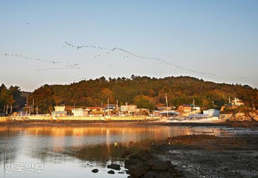 한국일보