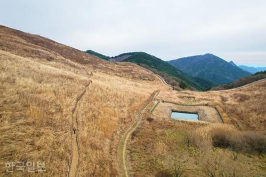 한국일보