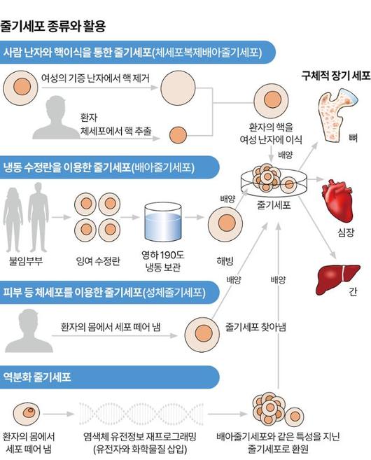 한국일보