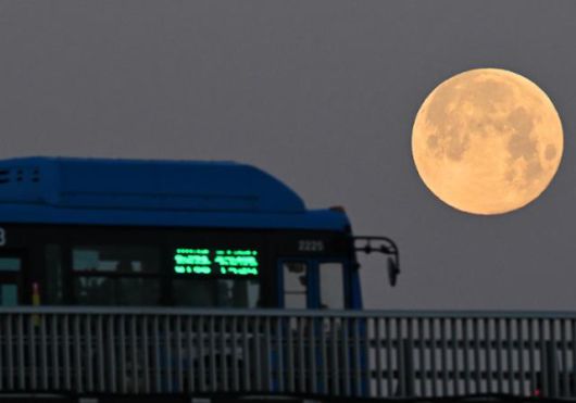 한국일보