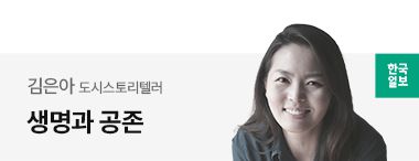 한국일보