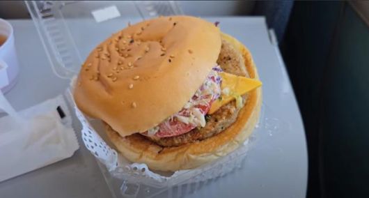 지난해 11월 러시아 유튜버 '빅토르'의 채널을 통해 공개된 북한 고려항공 기내식 햄버거. 유튜브 'PoletMe Aviation Videos' 캡처