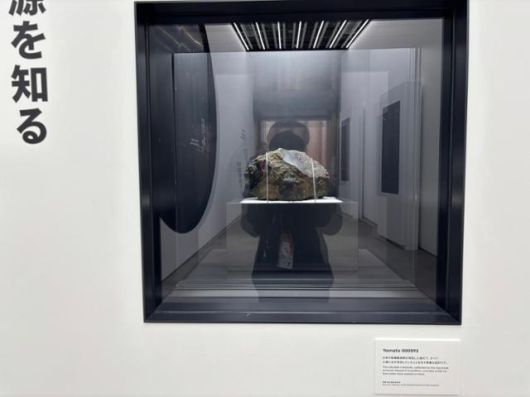 2025 오사카·간사이만국박람회(오사카엑스포)가 일본 오사카 유메시마에 개막한 13일 일본관에 약 1,300만 년 전 쯤 화성이 커다란 운석과 충돌해 방출된 것으로 추정되는 '화성의 돌'이 전시돼 있다. 오사카=류호 특파원