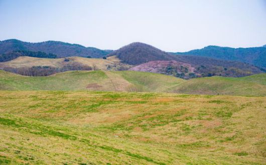 충남 서산시 서산한우목장 웰빙산책로에서 바라본 주위 언덕의 모습.