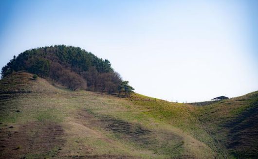 충남 서산시 용현리에서 바라본 서산한우목장의 모습.
