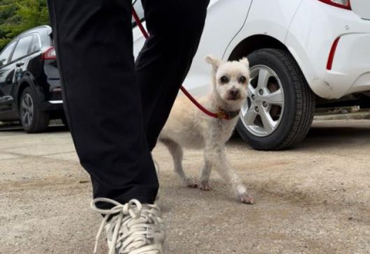 지난 9일 경기 남양주시 동물자유연대 '온센터'에서 만난 '허브'의 모습. 처음엔 낯을 가리는 듯 돌봄활동가 뒤로 숨는 모습을 보였다. 동그람이 정진욱
