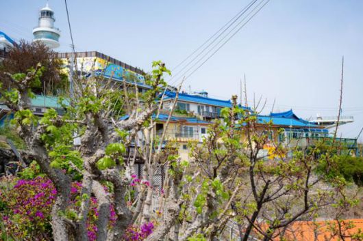 강원 동해시 묵호등대와 논골담길 일대의 모습.