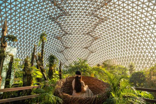 거제식물원. 경남도 제공