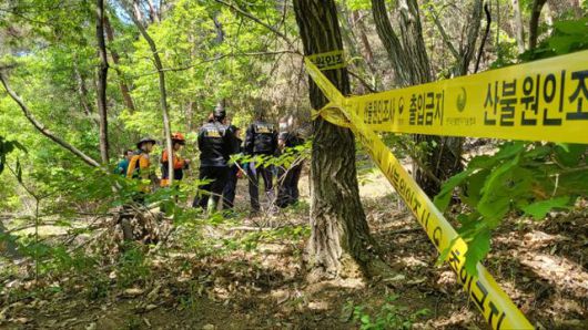국립산림과학원과 경찰, 대구시 등이 대구 함지산 산불의 원인을 밝히기 위해 합동 감식을 진행하고 있다. 대구=뉴스1