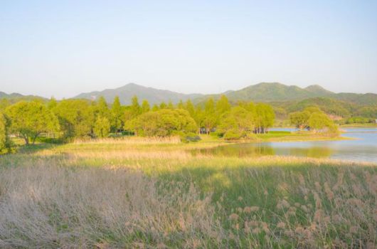 두물머리 옆 경기 남양주시 물의정원.
