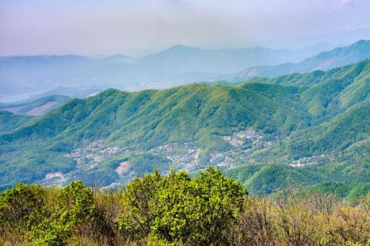 용문산 정상으로 가는 길에서 보이는 풍경.