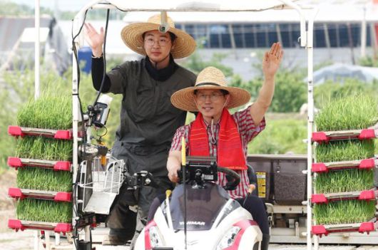 김문수 국민의힘 대선 후보가 21일 경기 고양시 농업 현장에서 청년 농업인과 모내기 이양 작업을 하고 있다. 고양=뉴스1